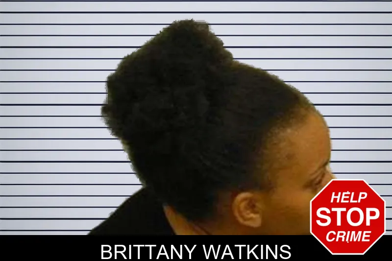 Brittany Watkins mugshot
