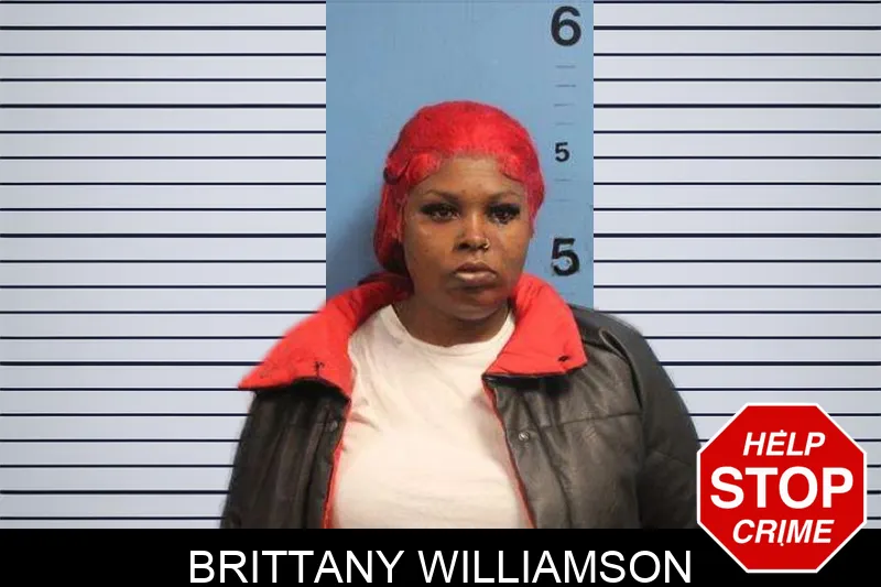 Brittany Williamson mugshot – Monroe County , Georgia Brittany Williamson mugshot