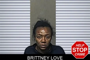 Brittney Love mugshot