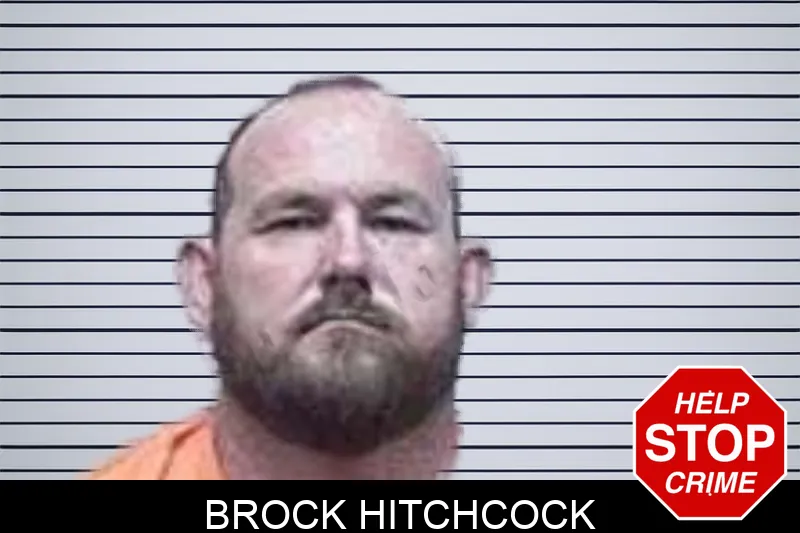 Brock Hitchcock mugshot