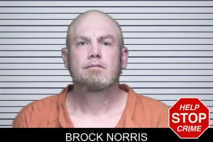 Brock Norris mugshot