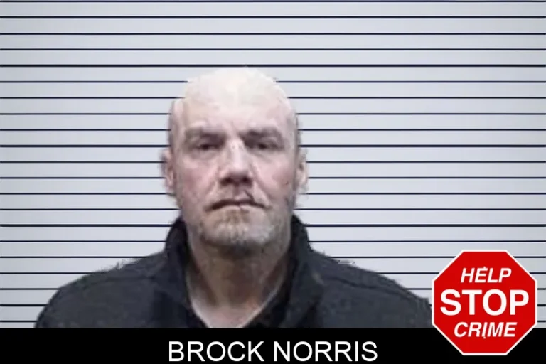 Brock Norris mugshot – Tattnall County , Georgia Brock Norris