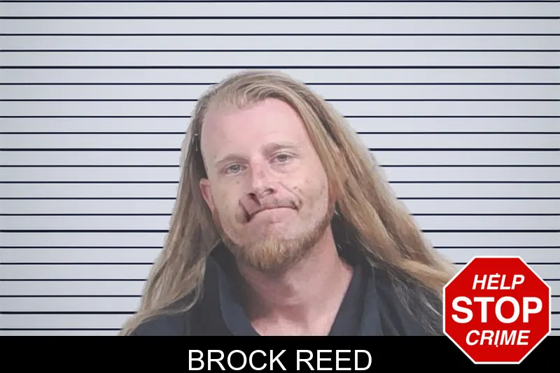 Brock Reed mugshot