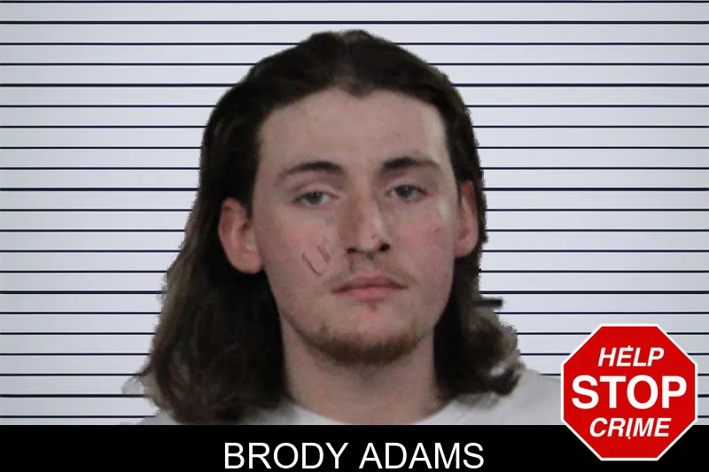 Brody Adams mugshot