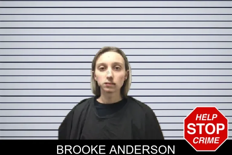 Brooke Anderson mugshot – Coweta County , Georgia Brooke Anderson