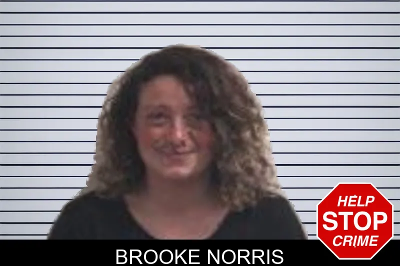 Brooke Norris mugshot