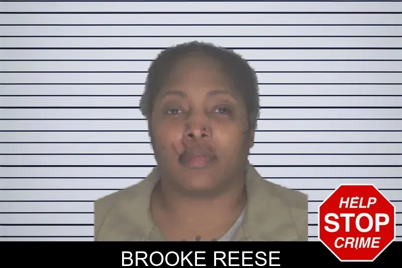 Brooke Reese mugshot