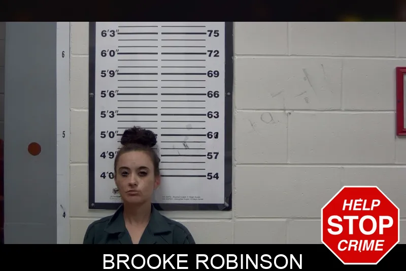 Brooke Robinson mugshot – Irwin County , Georgia Brooke Robinson mugshot