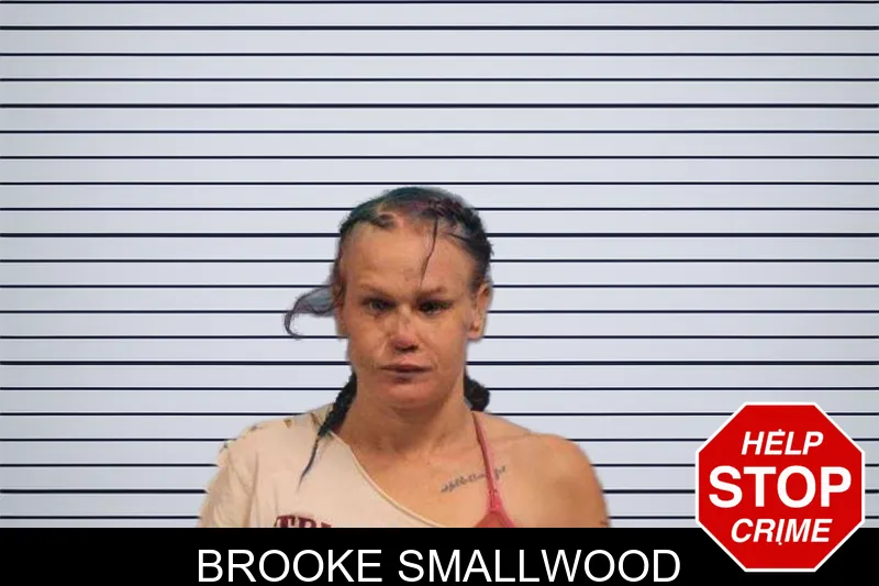 Brooke Smallwood mugshot