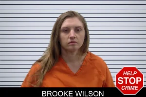 Brooke Wilson mugshot