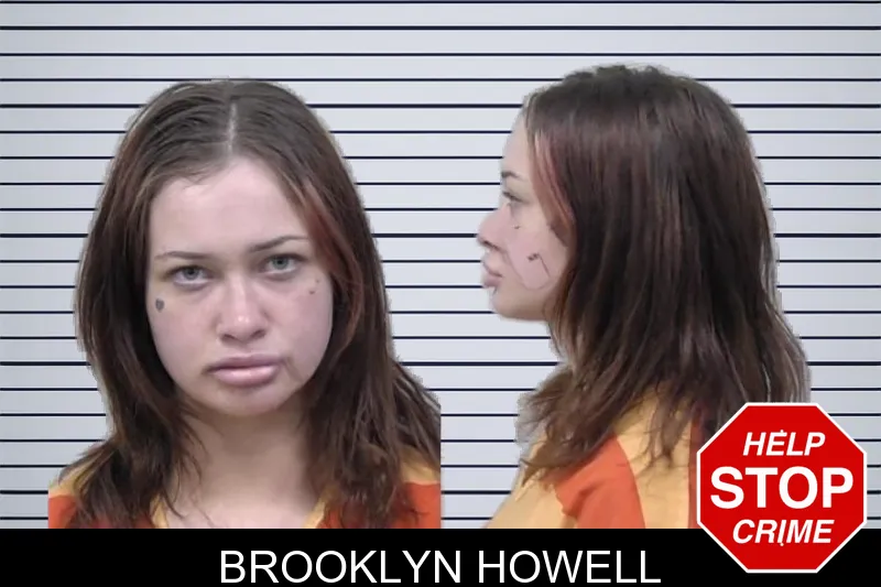 Brooklyn Howell mugshot