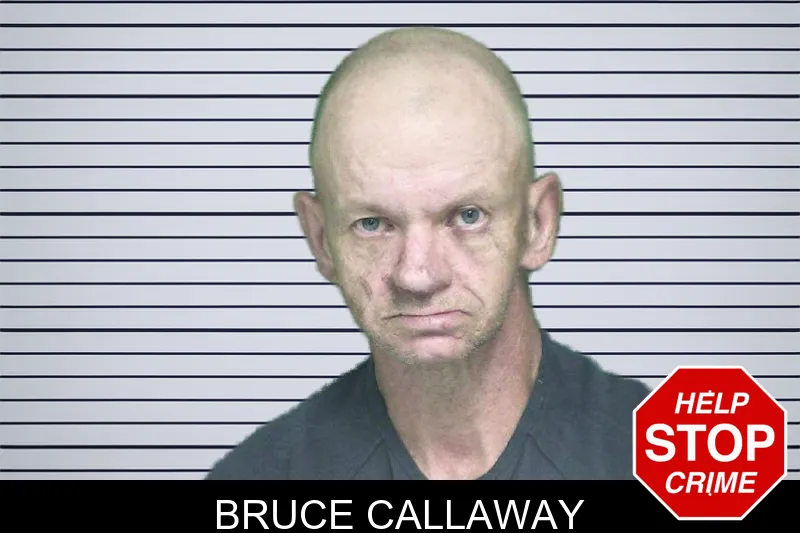 Bruce Callaway mugshot – Appling County , Georgia Bruce Callaway mugshot