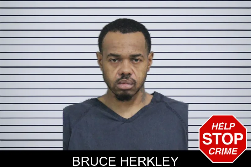 Bruce Herkley mugshot