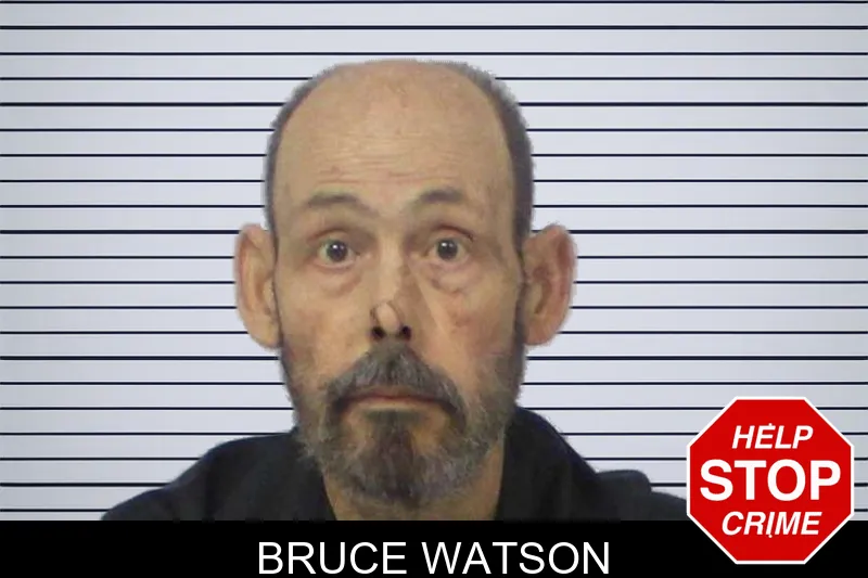 Bruce Watson mugshot