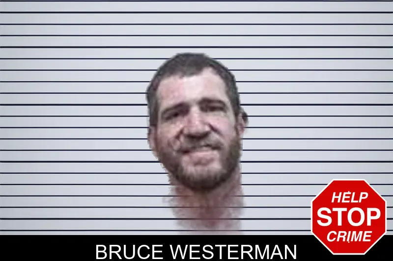 Bruce Westerman mugshot – Tattnall County , Georgia Bruce Westerman mugshot