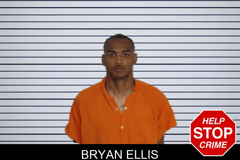 Bryan Ellis mugshot