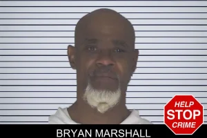 Bryan Marshall mugshot
