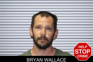 Bryan Wallace mugshot
