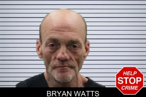 Bryan Watts mugshot