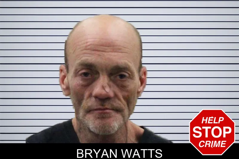 Bryan Watts mugshot