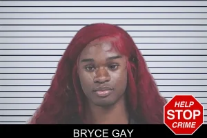 Bryce Gay mugshot