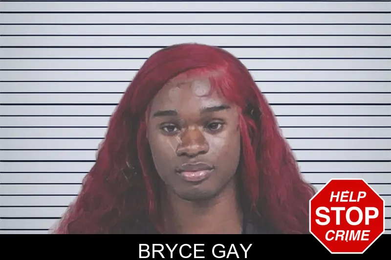 Bryce Gay mugshot