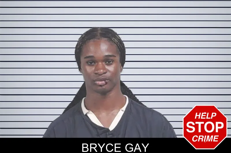 Bryce Gay mugshot