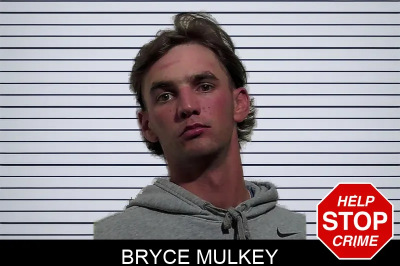 Bryce Mulkey mugshot