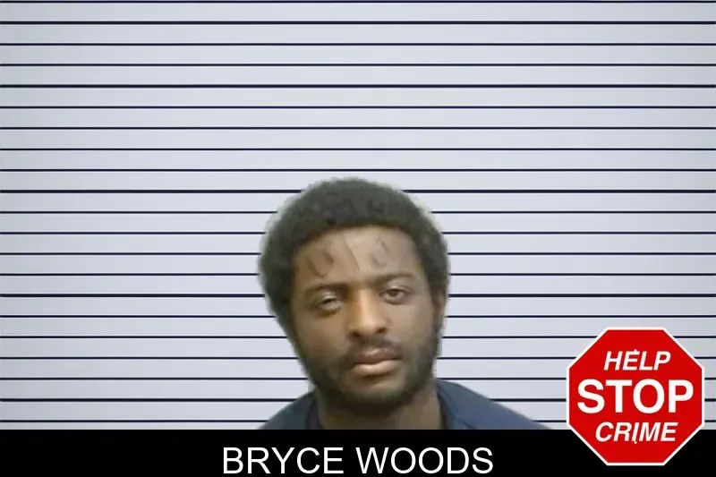 Bryce Woods mugshot