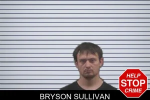 Bryson Sullivan mugshot