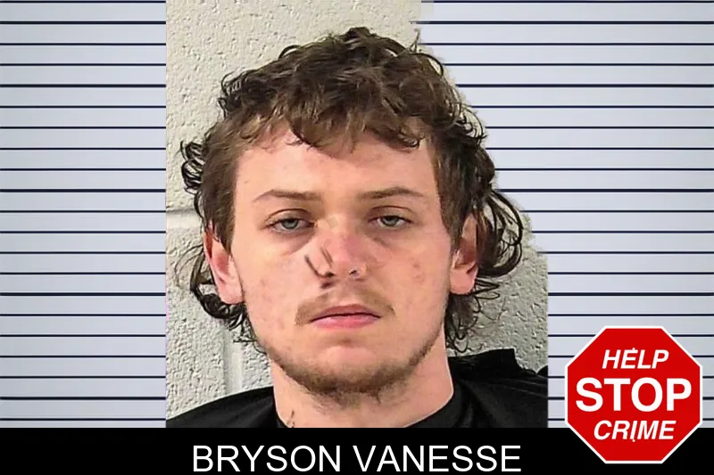 Bryson Vanesse mugshot