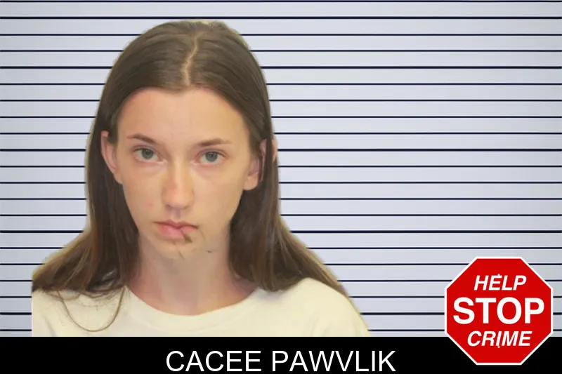 Cacee Pawvlik mugshot