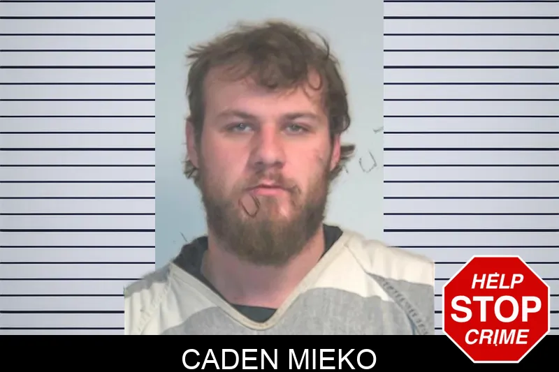 Caden Mieko mugshot – Berrien County , Georgia Caden Mieko mugshot