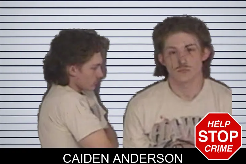 Caiden Anderson mugshot