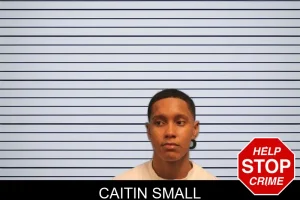 Caitin Small mugshot