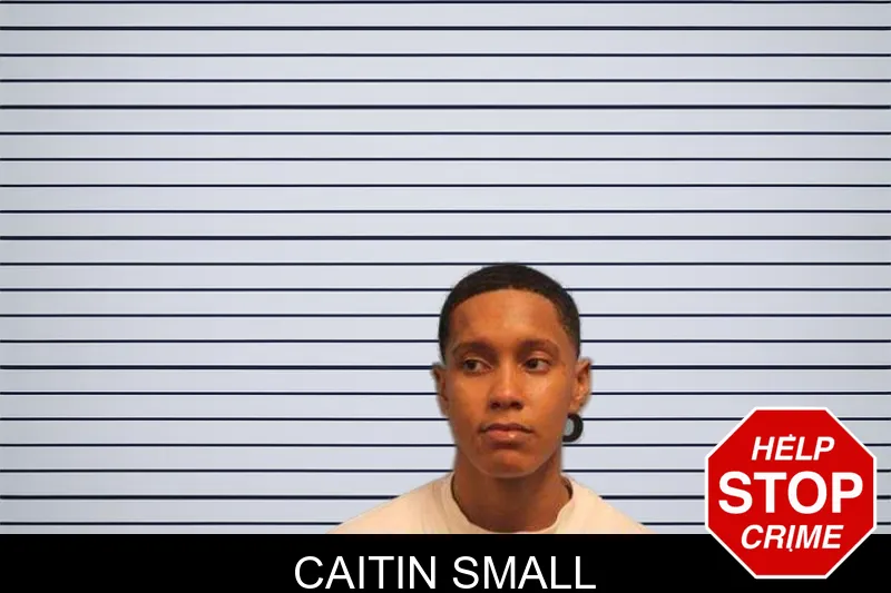 Caitin Small mugshot