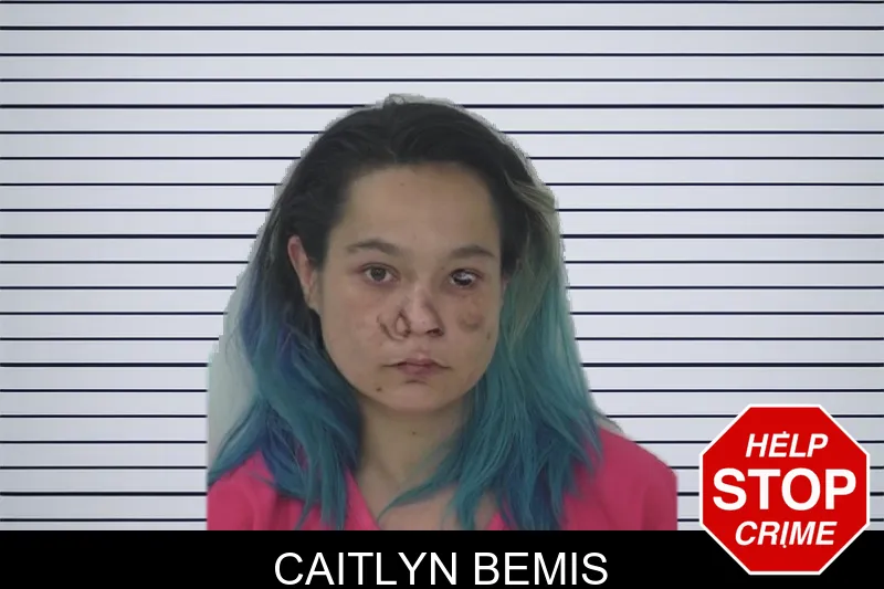 Caitlyn Bemis mugshot