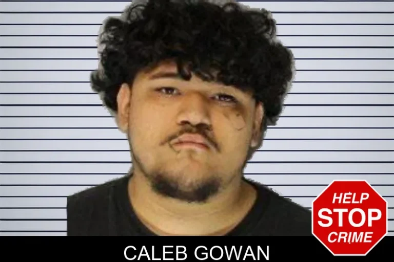 Caleb Gowan mugshot – Hall County , Georgia Caleb Gowan