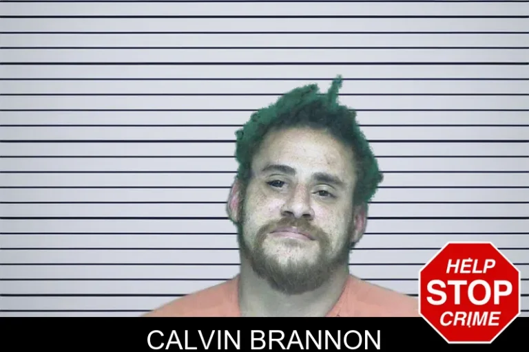 Calvin Brannon mugshot – Appling County , Georgia Calvin Brannon
