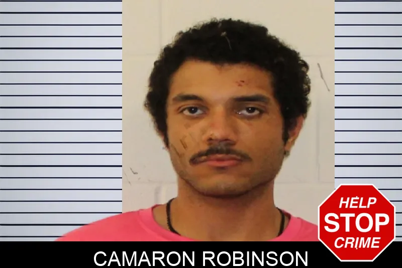 Camaron Robinson mugshot