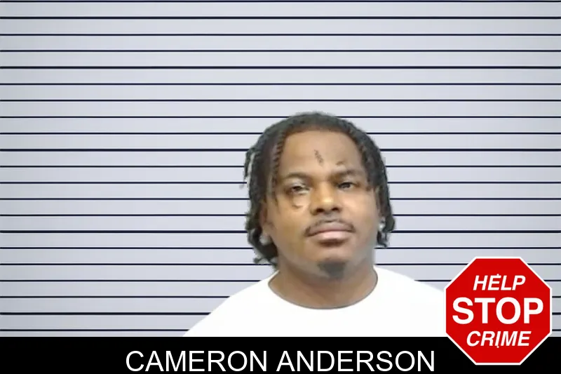 Cameron Anderson mugshot