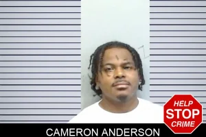 Cameron Anderson mugshot