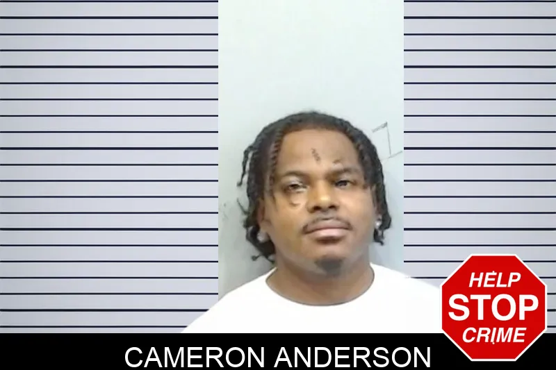 Cameron Anderson mugshot