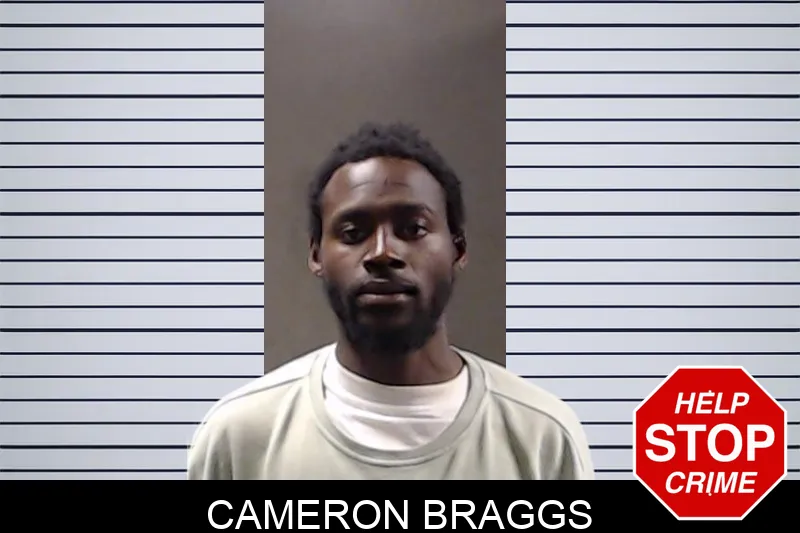Cameron Braggs mugshot – DeKalb County , Georgia Cameron Braggs mugshot