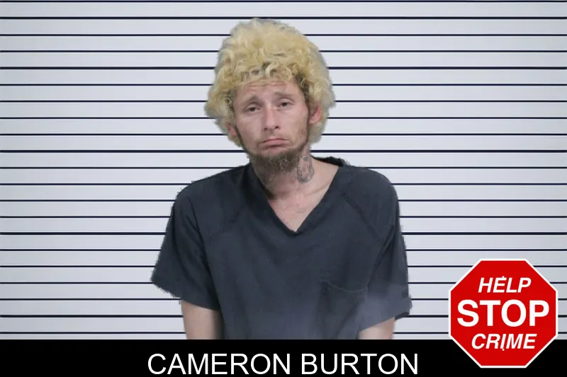 Cameron Burton mugshot