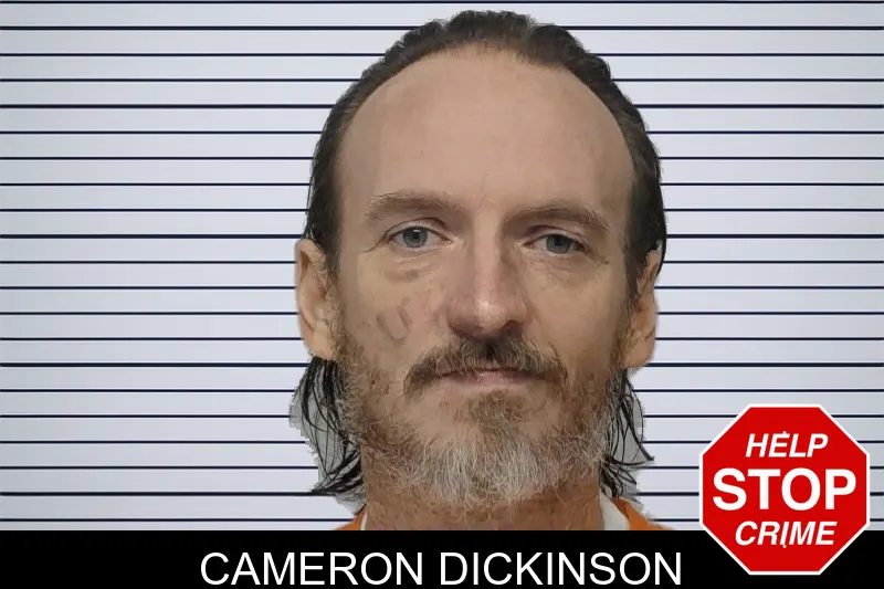Cameron Dickinson mugshot – Bibb County , Georgia Cameron Dickinson mugshot