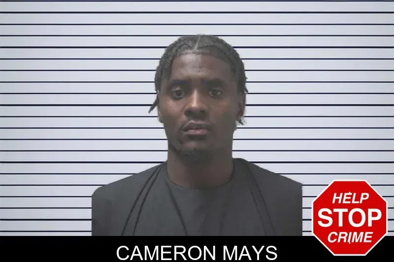 Cameron Mays mugshot