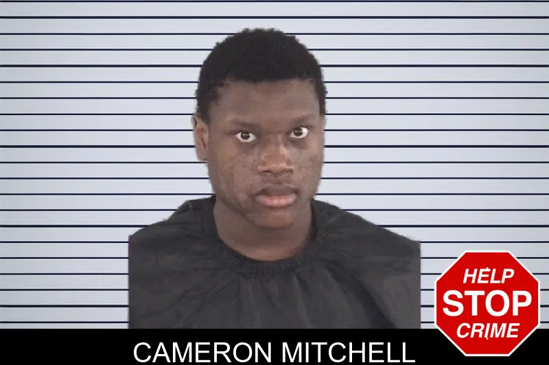 Cameron Mitchell mugshot