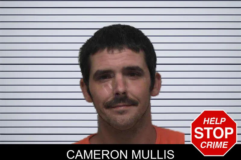 Cameron Mullis mugshot