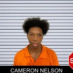 Cameron Nelson mugshot